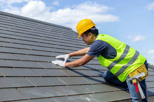 Best Roof Gutter Cleaning  in Mims, FL