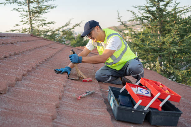 Best Flat Roof Repair Services  in Mims, FL